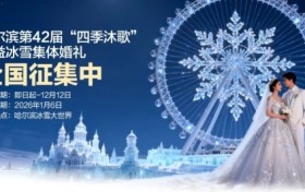 当一座城市被冰雪点亮，谁在守护它的温度？